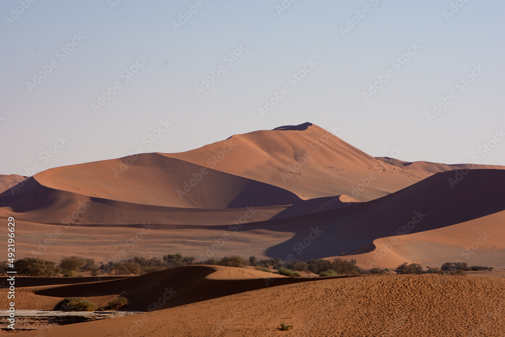 Namibia dune landscape with trees and water