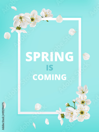 Vector greeting card template with flowers blossoms. Cherry flower spring is coming banner blooming sakura on the light blue background. Stories Instagram