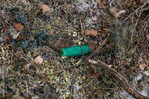 One shotgun cartridge used on forest floor