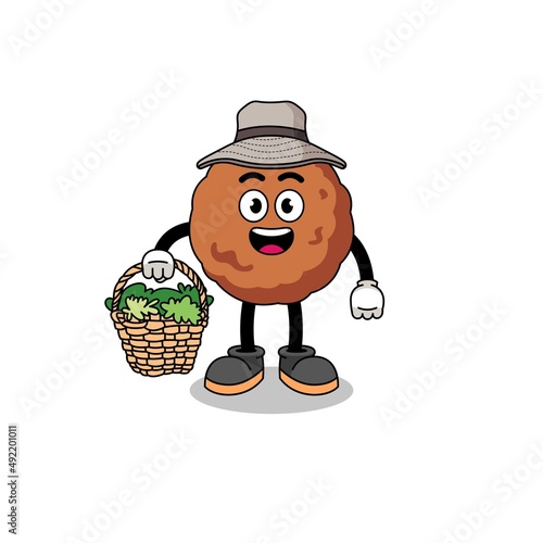 Character Illustration of meatball as a herbalist