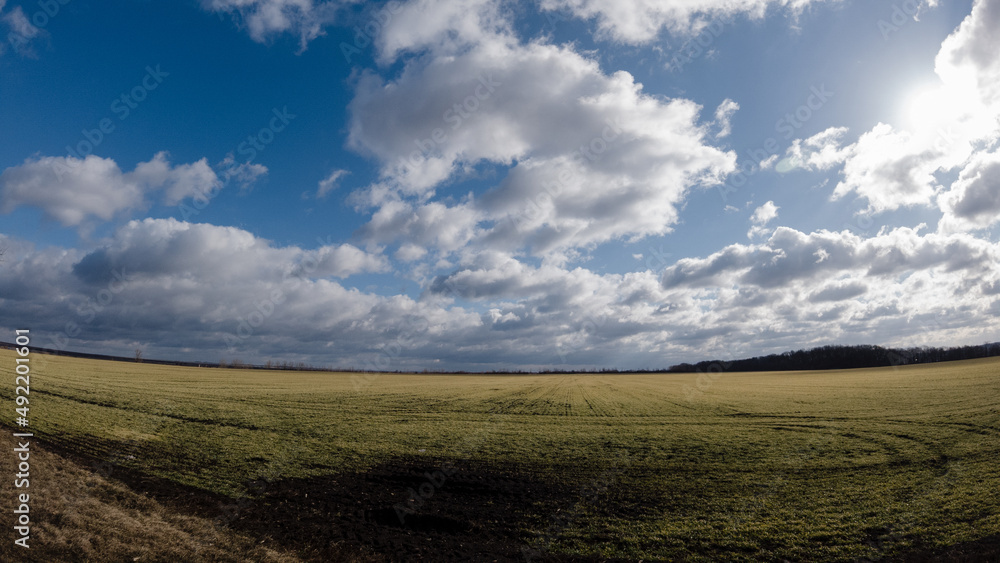 spring field and sky with clouds