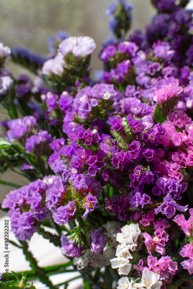 Obraz premium small bright dried flowers statice kermek purple white bouquet vertical