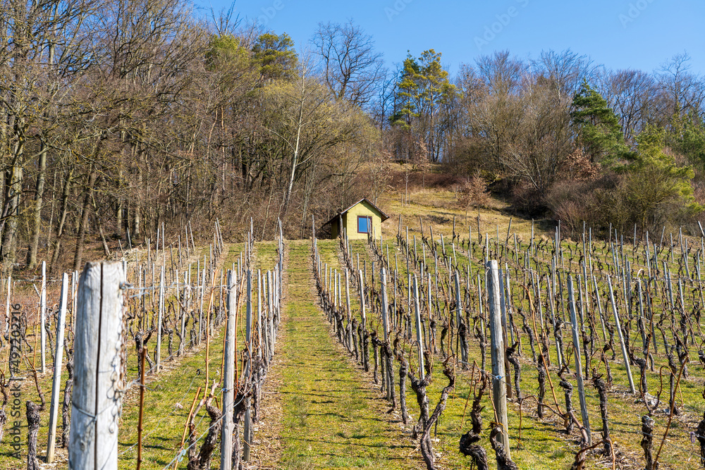Fototapeta premium Neuenstein in Deutschland