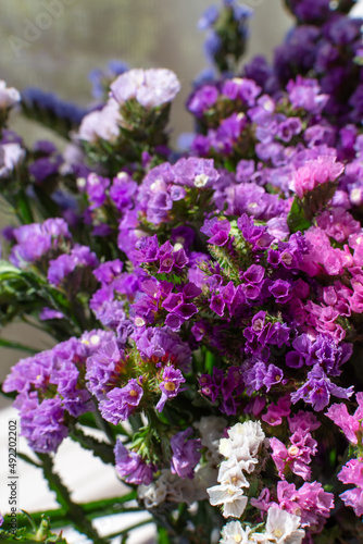 small bright dried flowers statice kermek purple white bouquet vertical