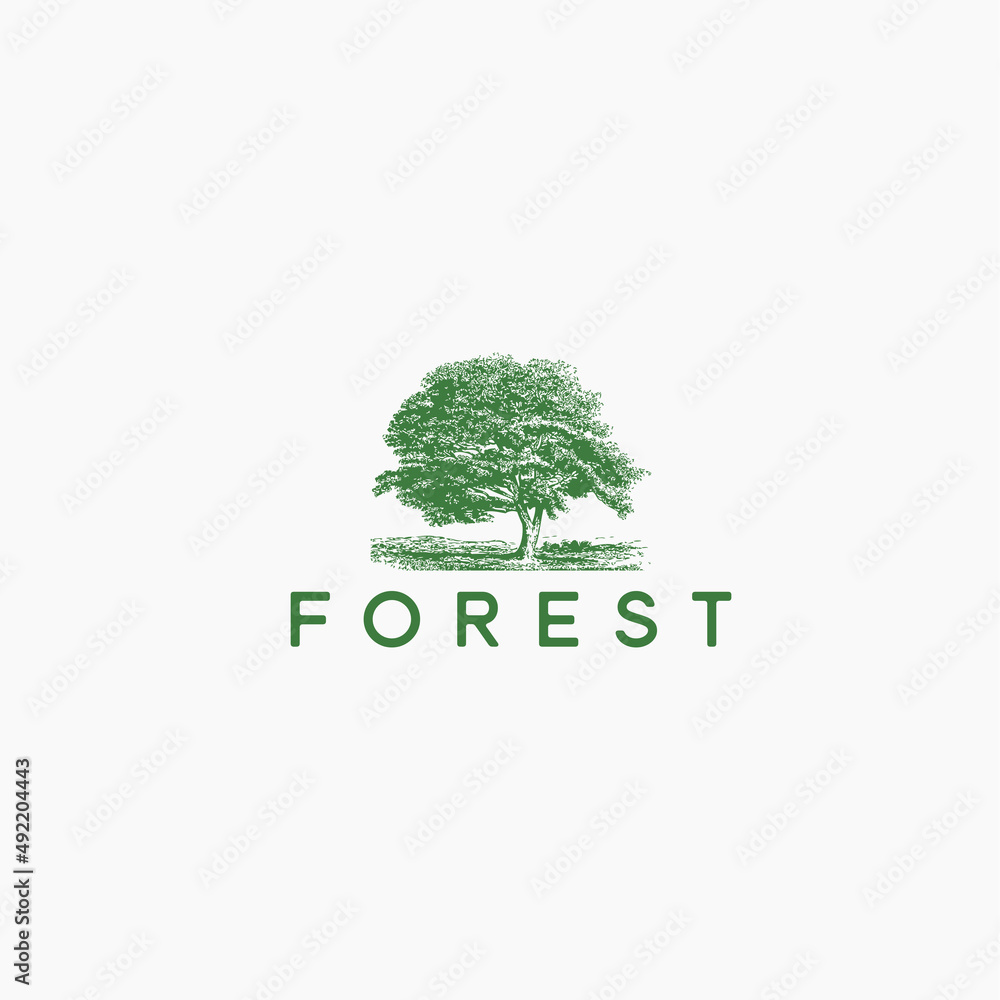 Obraz premium Forest classic logo vector icon illustration design Premium Vector