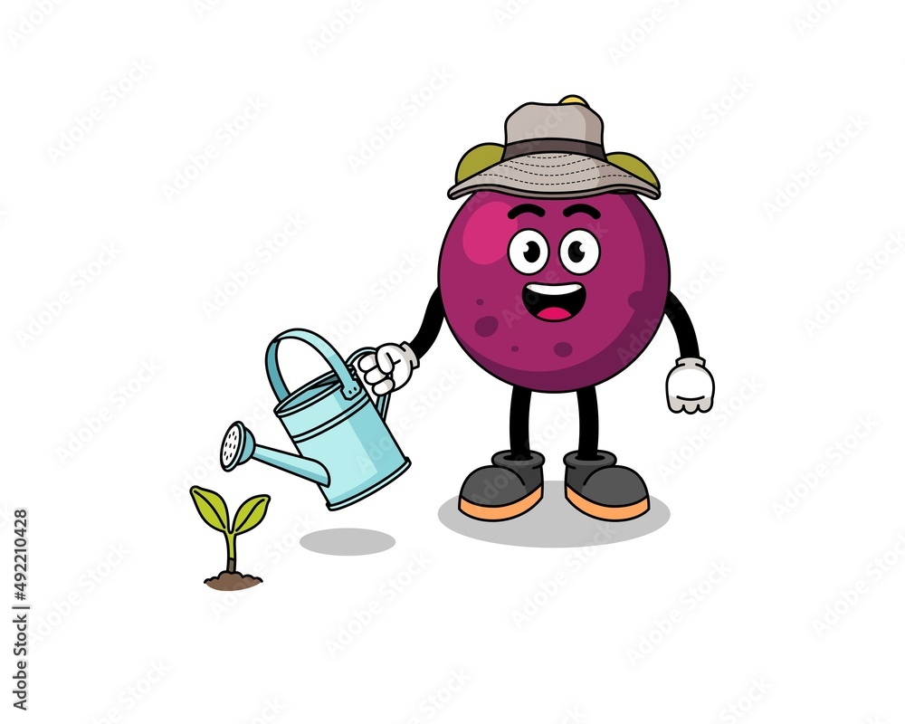 Illustration of mangosteen cartoon watering the plant Illustration of mangosteen cartoon watering the plant