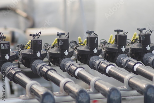 ビニールハウスで育成されるミディトマト。