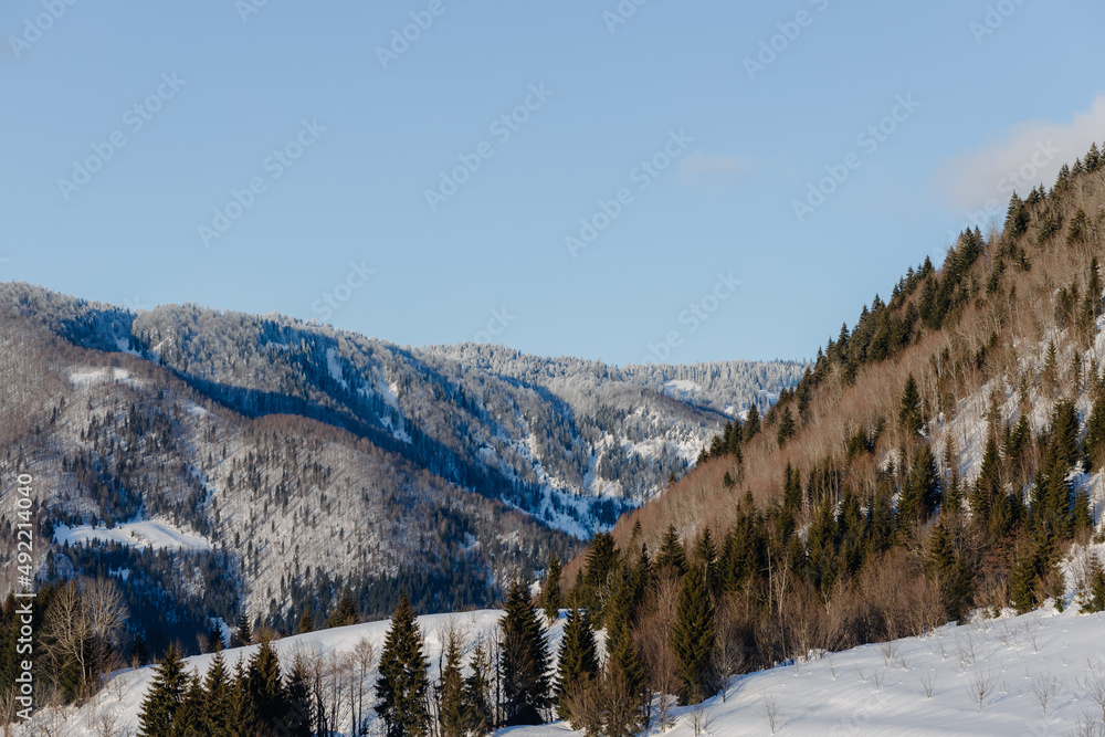 Winter mountain landscape. Georgia. Gomarduli