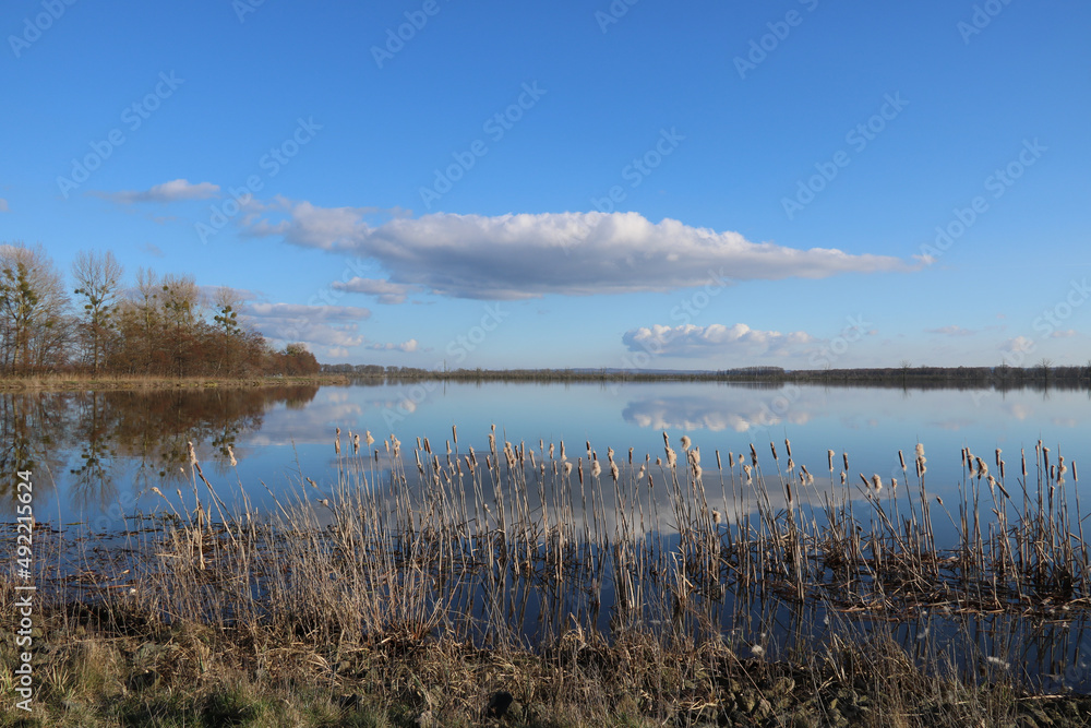 Naturschutzgebiet Galenbecker See Naturschutzgebiet Galenbecker See