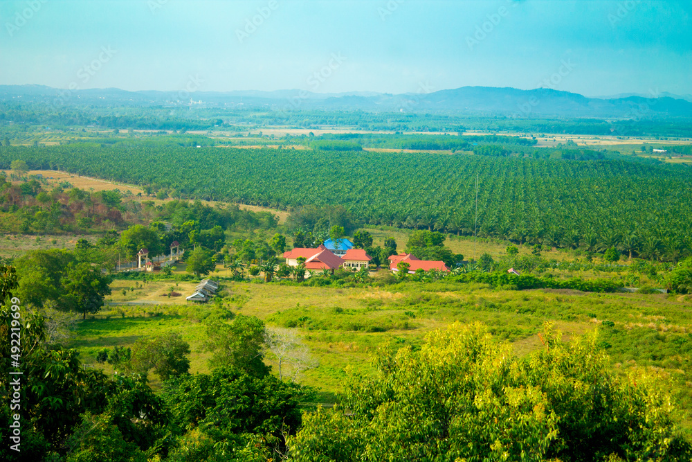 The village on the slopes of the mountain is surrounded by natural greenery and the air is still cool without pollution. High angle view of nature