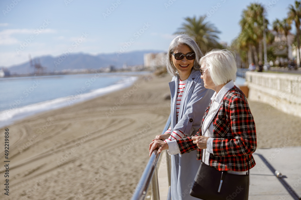 Fototapeta premium Happy female friends meeting outdoors by sea