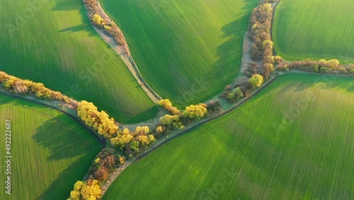 Gorgeous footage of a green undulating field of agricultural land. Filmed in UHD 4k video.
