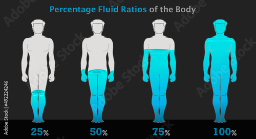 Percentage of human in blue liquid, man, male body. Rate, proportion h2o, water. Full, half %  0 25 50 75. Energy, battery steps. Gray blue boy figures draw set. Black background. Illustration vector