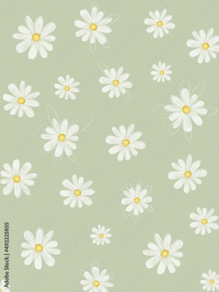 Little cute white flowers on the light green background 