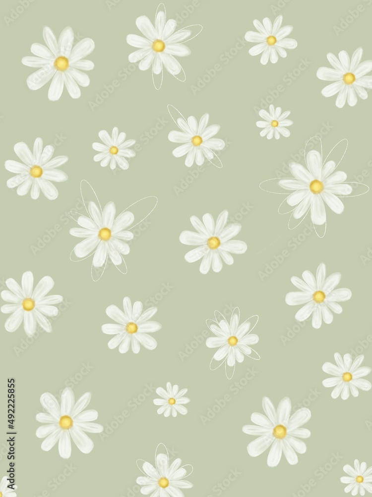 Little cute white flowers on the light green background Little cute white flowers on the light green background
