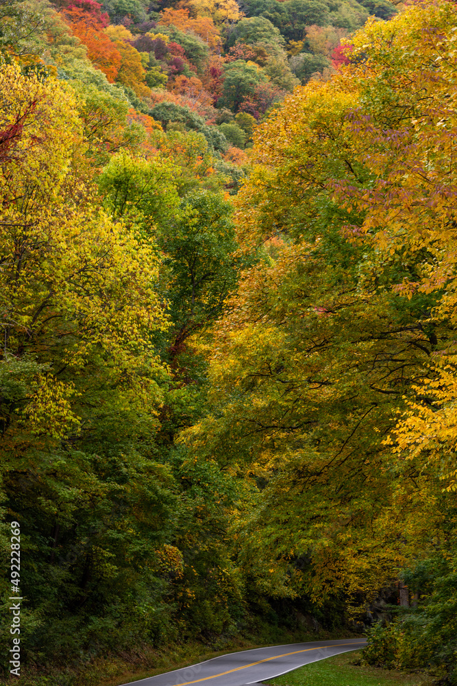 autumn in the mountains