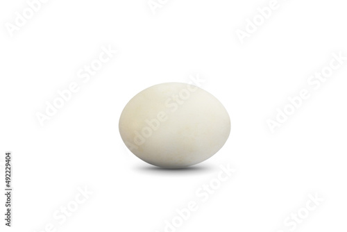 Natural White egg on white background. Clipping Paths.