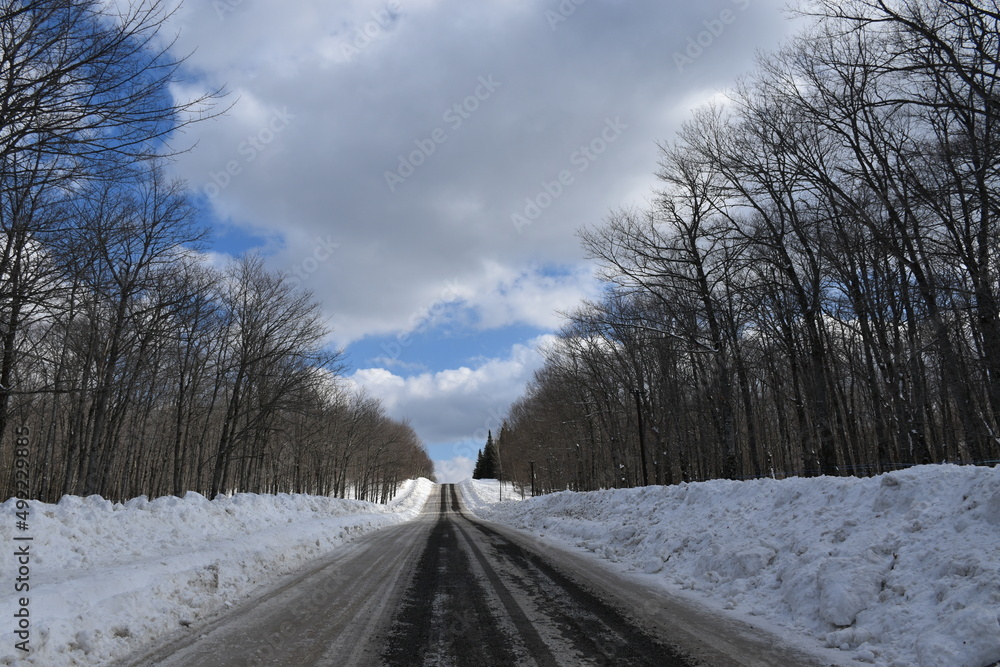 The maple road in winter, Québec, Canada The maple road in winter, Québec, Canada
