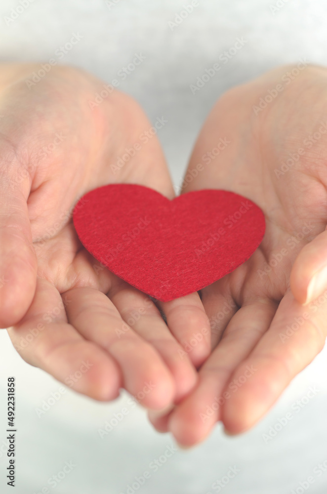 Red heart in female palms on a white background, close-up Red heart in female palms on a white background, close-up