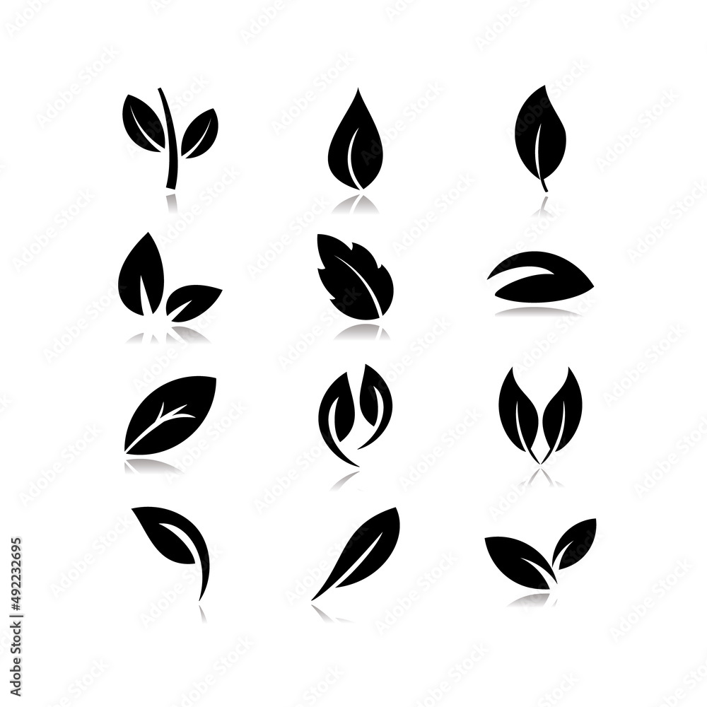 Fototapeta premium Leaf of a plant icon set with shadow effect.