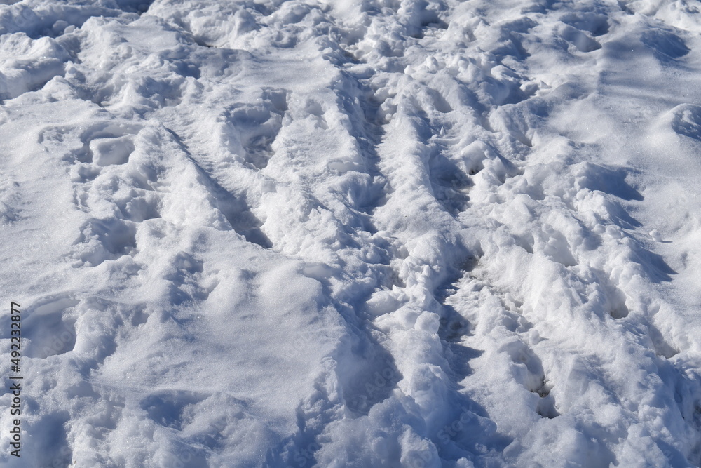 Tracks in Snow Tracks in Snow