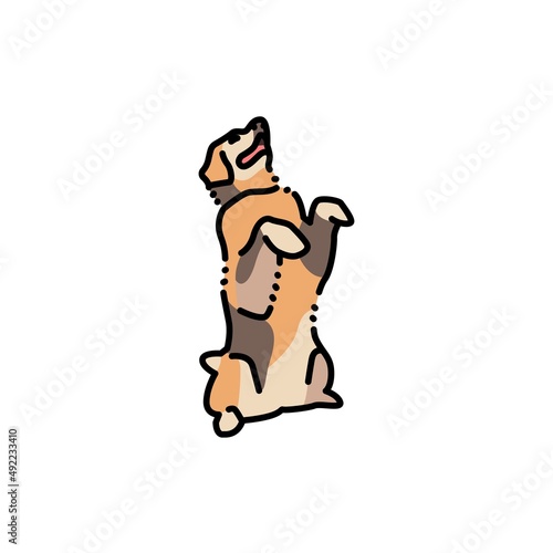 Golder retriever makes command color line icon. Pictogram for web page