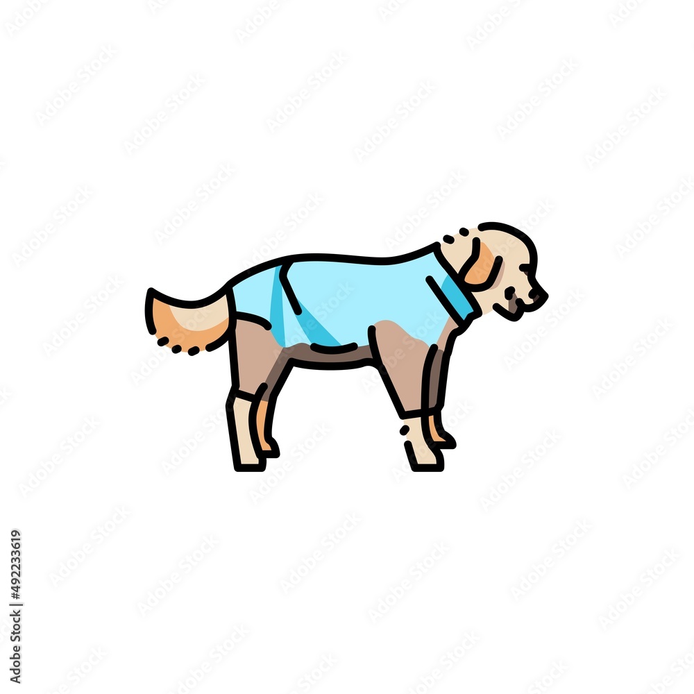 Golder retriever wearing raincoat color line icon. Pictogram for web page