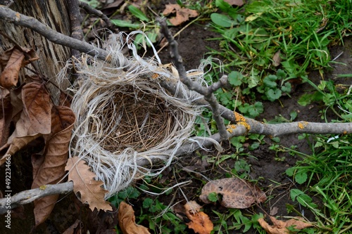 a bird's nest on a tree branch with plastic