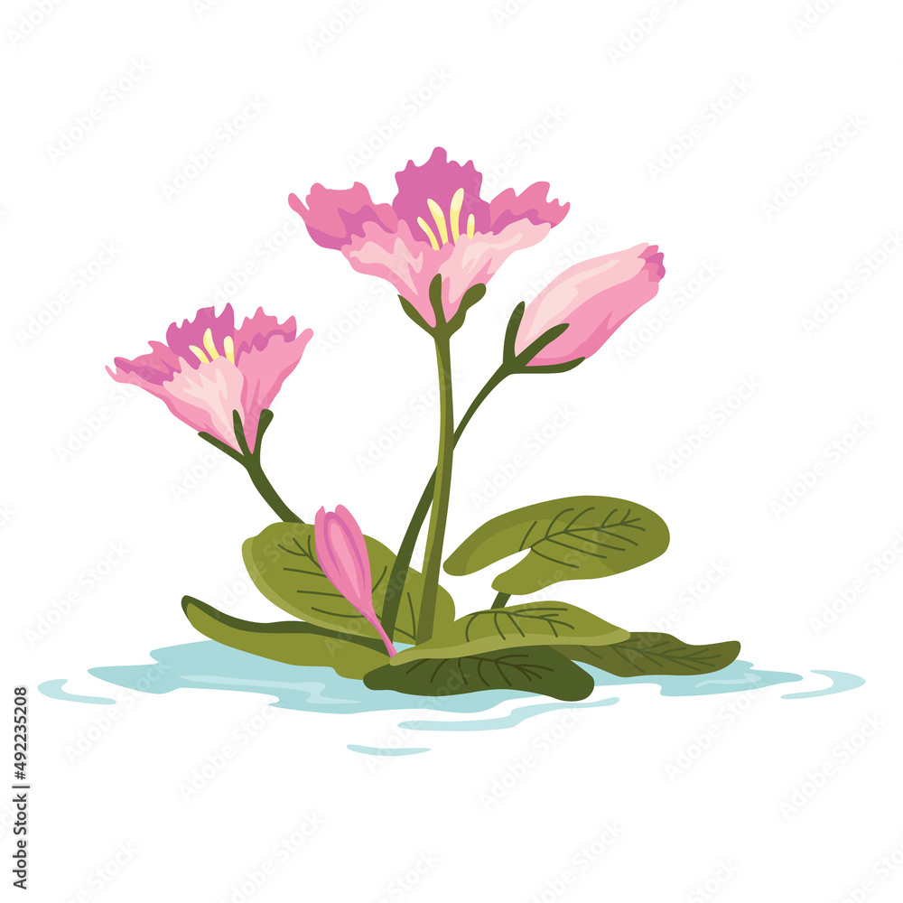 Marsh and wetland plant. Hand drawn botanical item. Swamp flora and