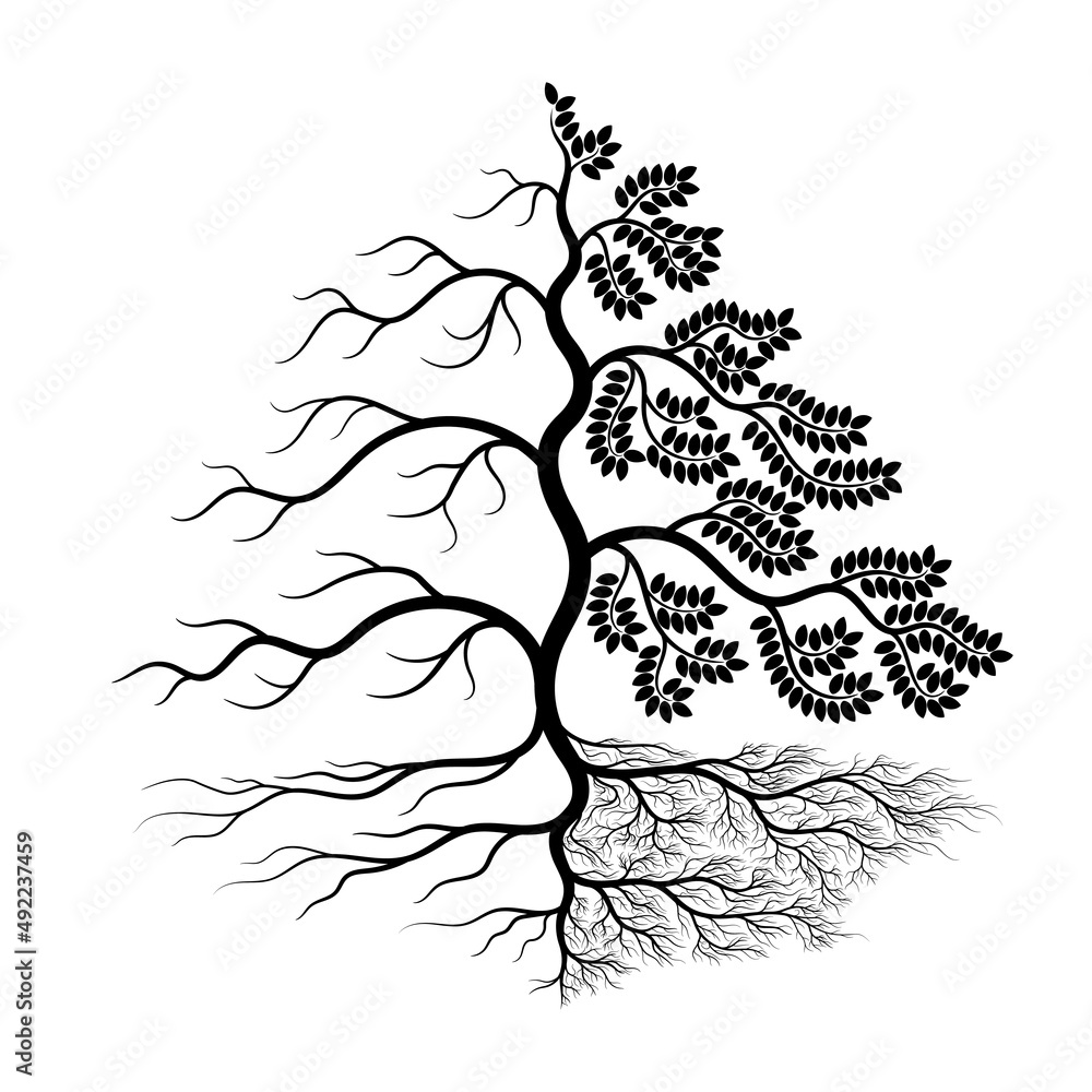 Illustration of a tree is half dead. Consists of roots, stems, branches