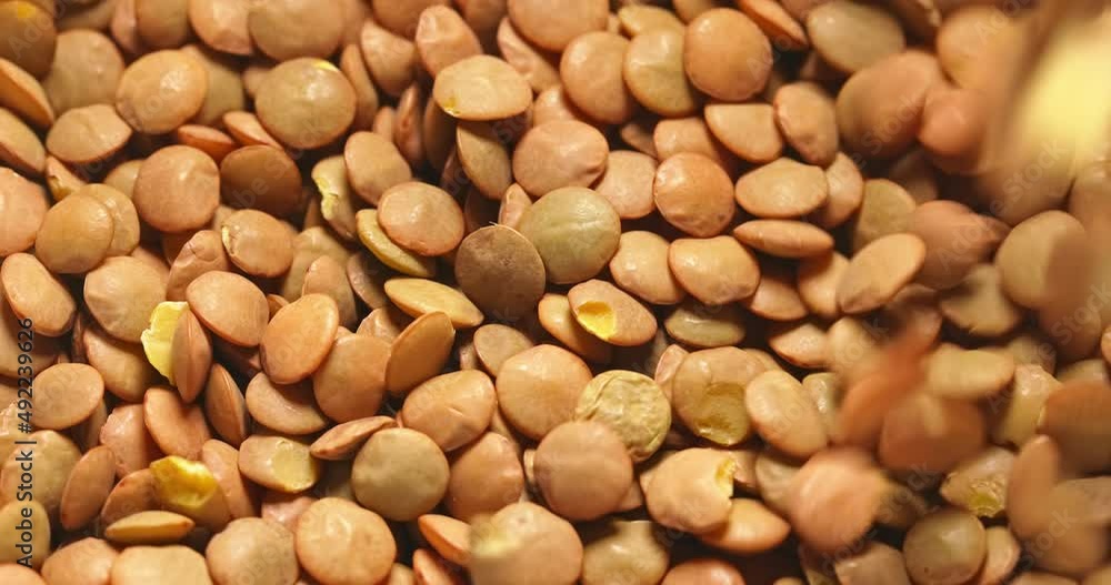 Heap of raw uncooked dried seed Heap of raw uncooked dried seed