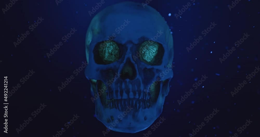 Skull with colored lighting loop closeup Skull with colored lighting loop closeup
