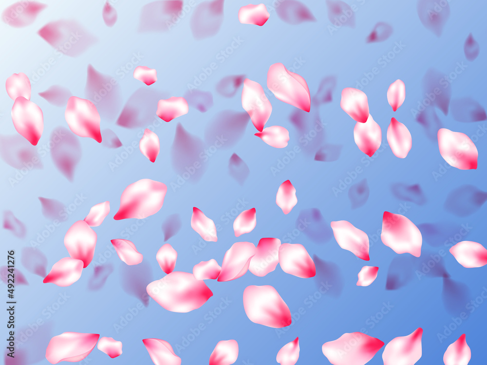 Japanese cherry blossom pink flying petals Japanese cherry blossom pink flying petals