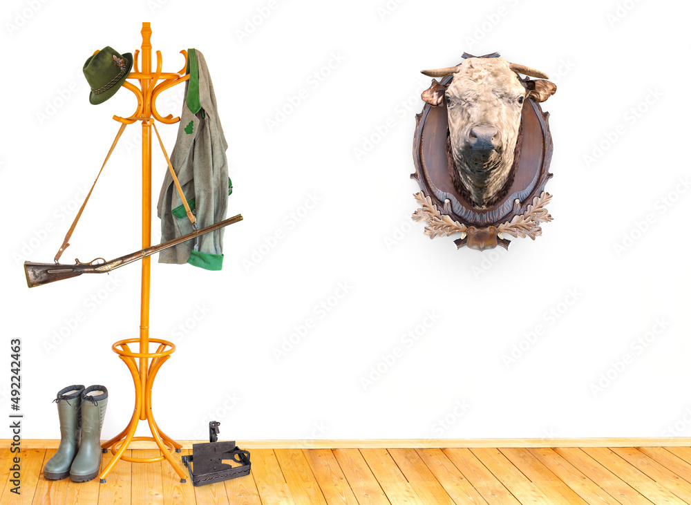 The equipment of hunter in a room with the head of cow as trophy on a white wall.