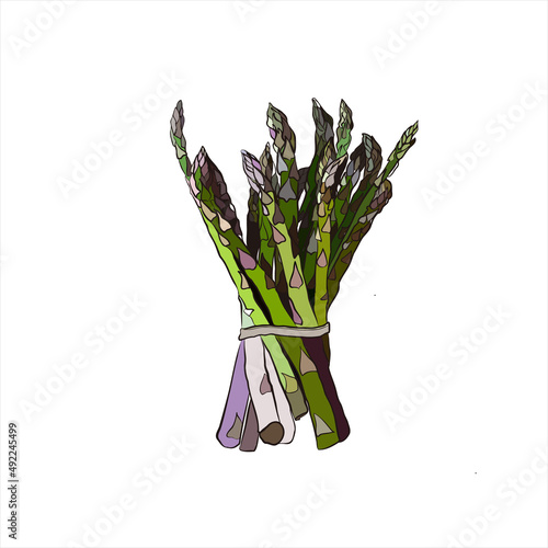 bunch of asparagus on white
