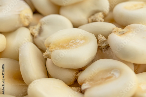 Dry maize mote close up. Macro. Hominy grain photo