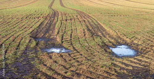 Despite modern technology, too much liquid manure is still spread on fields in Germany. As a result, more and more manure penetrates into the groundwater, which increases the nitrate content. photo