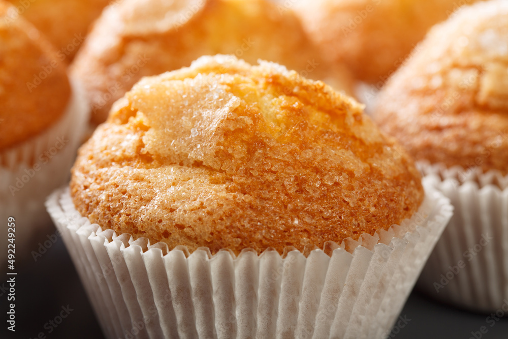Macro magdalenas with sugar and lemon the typical spanish plain muffins in the plate. Horizontal Macro magdalenas with sugar and lemon the typical spanish plain muffins in the plate. Horizontal