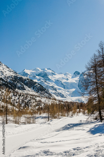 Morteratsch  Morteratschgletscher  Gletscher  Gletscherpfad  Gletscherweg  Piz Bernina  Bellavista  Bernina  Berninapass  Engadin  Alpen  Graub  nden  Winter  Winterwanderweg  Langlauf  Schweiz