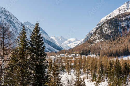 Pontresina, Berninabach, Berninapass, Val Bernina, Piz Rosatsch, Winter, Wintersport, Wanderweg, Langlauf, Langlaufloipe, Oberengadin, Graubünden, Alpen, Schweiz