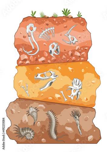 Three different eras of Earth history. Fossil dinosaurs, elements for paleontology and archeology works. Scene with various animals bones in soil layers. Old dino skeletons buried underground