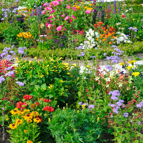 Luxurious flowerbed in the summer city garden.