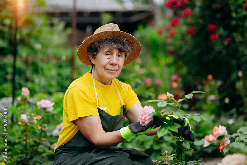 Senior woman gardener in a hat working in her yard with work tools. The concept of gardening, growing and caring for flowers and plants.