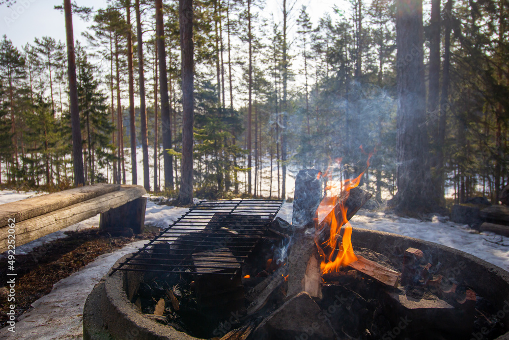 campfire in the forest during winter