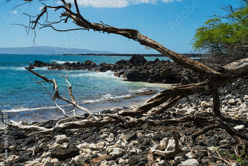 lava rock shore and cove at la perouse bay © Ferrer Photography