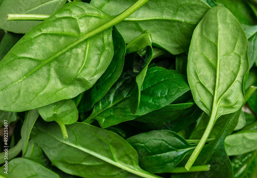 Close up Spinach. Raw organic fresh baby spinach leaves in a metal bowl on dark background. Food recipe background., top view