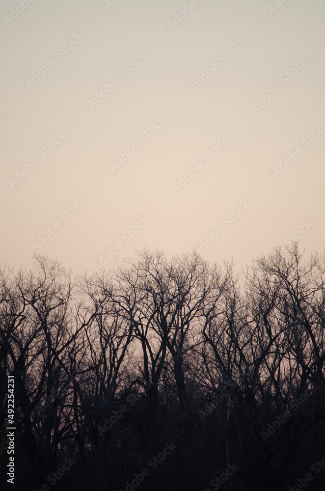 sunset in the fog sunset in the fog