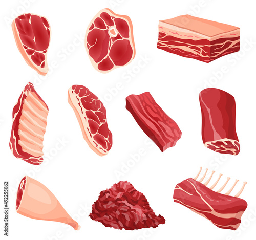 Meat products and raw meat. Illustration for concept product of farmers market or shop. Different kind of meat. Cartoon product icons