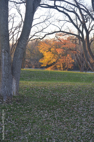 autumn in the park © Abe