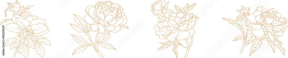 Set of graphical hand drawn golden peony flowers isolated on a white background. Vector Set of graphical hand drawn golden peony flowers isolated on a white background. Vector